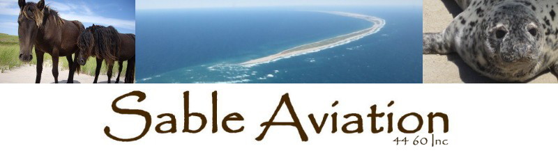 Sable Aviation Logo